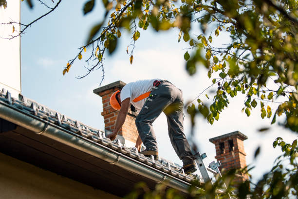 Best Rubber Roofing (EPDM, TPO)  in Hopkinsville, KY