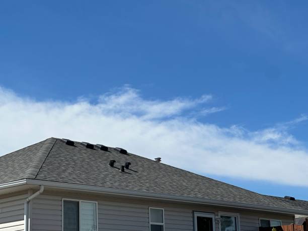 Best Cold Roofs  in Hopkinsville, KY